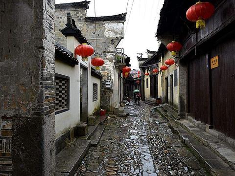 营救小乌龟